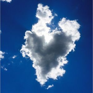 Meet your Posher, Leana